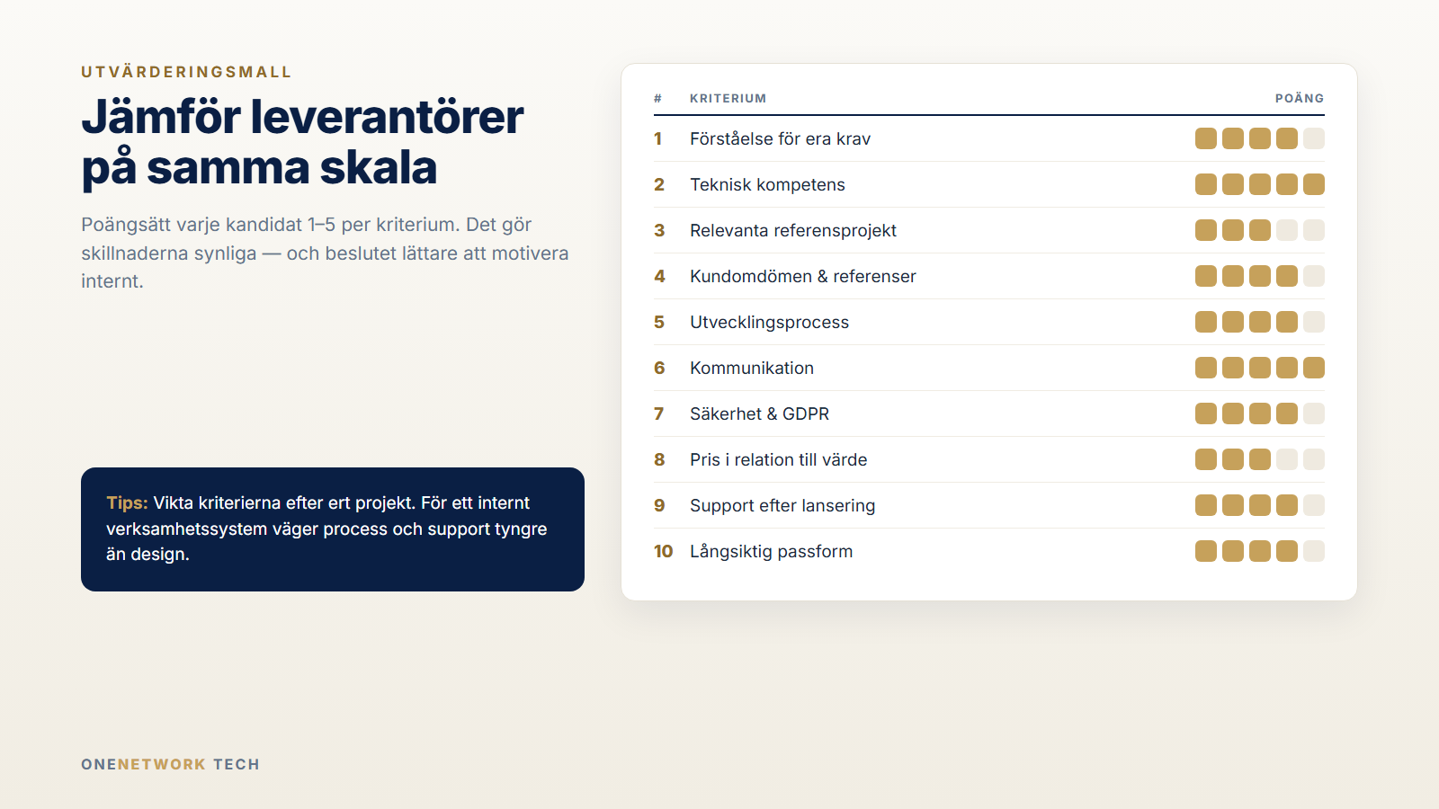 Utvärderingsmall för att jämföra systemutvecklare på tio kriterier